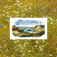 Load image into Gallery viewer, Take Me To The Lakes Sticker