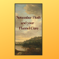 Load image into Gallery viewer, November Flush Sticker