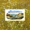 Load image into Gallery viewer, Take Me To The Lakes Sticker
